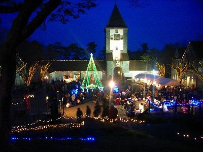 今年のイルミは?