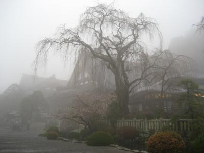 ２００７年１８切符の旅　冬の陣−山梨県編−