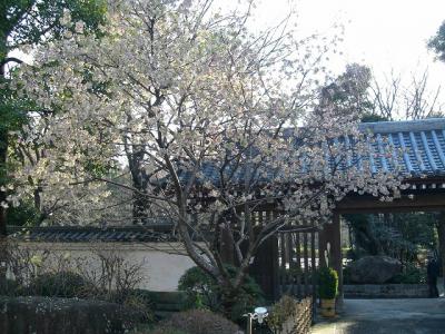 まだ残っていればいいなと戸越公園