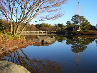 国営昭和記念公園