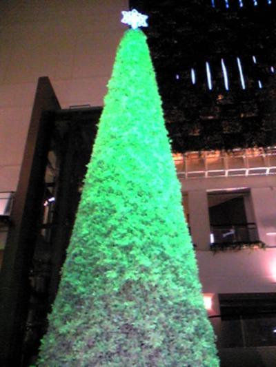 鴻星海鮮酒家+ツリー