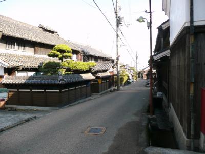 葛城市寒ボタン・冬ボタン　その３　竹内街道