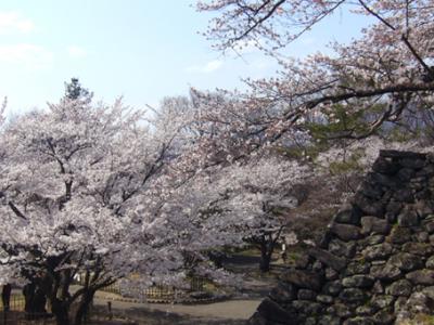 小諸・鹿教湯温泉・上田・・桜とお城と懐かしい景色