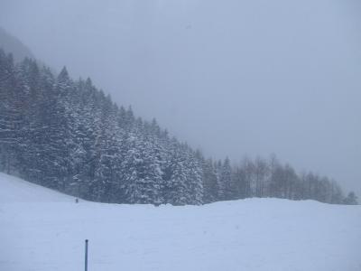 2008年初スキー＠丸沼高原