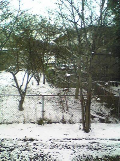 湯布院の雪景色と大分ファンタジー