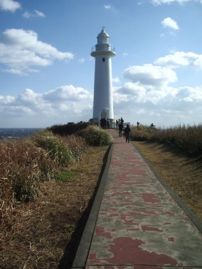 水仙の群生地、爪木崎から太平洋を望む