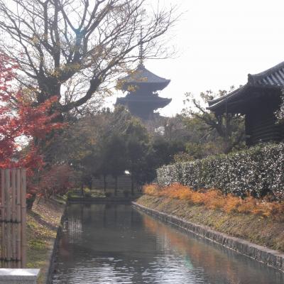 冬の京都　東寺～三十三間堂～東福寺