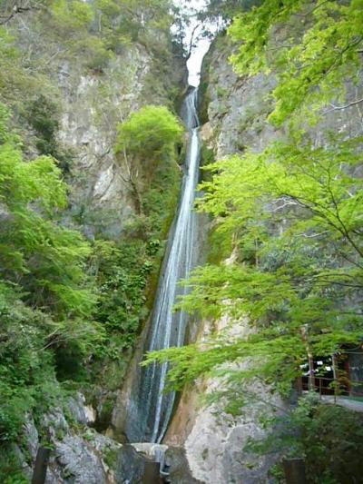 絹掛の滝「松村探検隊、岡山の洞窟を行く！　その２」