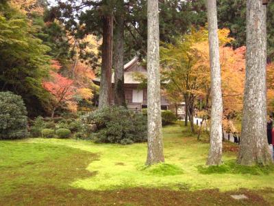 京都  3泊4日の旅(4日目/大原）