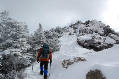 元旦、金峰山