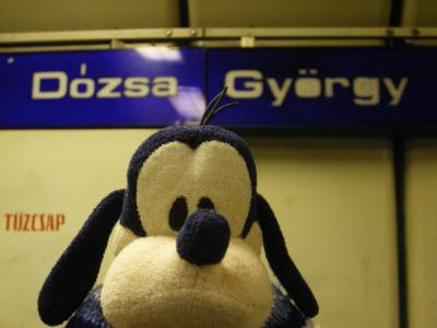 グーちゃん、ハンガリーに行く！！（夜のお散歩編）