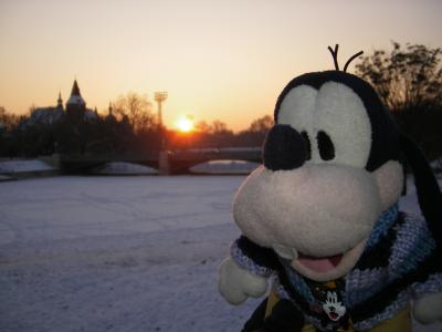 グーちゃん、ハンガリーに行く！！（朝のお散歩後編）