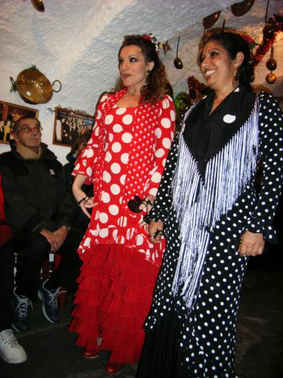 2008　冬のスペイン　その２　グラナダ 