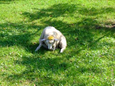 ぶらり 池田まで行ってみようか