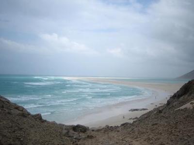 年末年始に3回目のイエメン:ソコトラ島編