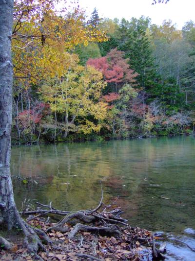 北海道三大秘湖には観光バスも来るのだ!