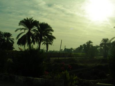 ナイルの賜物?ルクソールからコンボイで