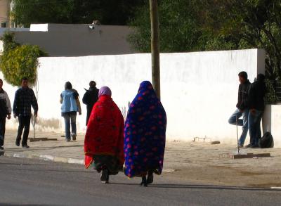 現地ガイドと巡ったチュニジア周遊8日間（日常生活の場面編＆ネコ）