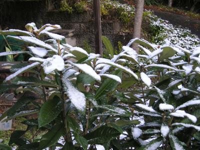 大月市下畑、初雪の日に懐旧の散歩