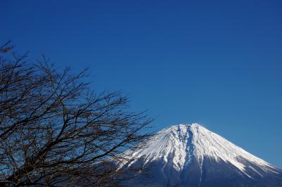 田貫湖と富士山