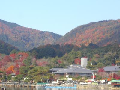 紅葉！京都のたび　2泊3日（1～2日　嵐山～祇園）