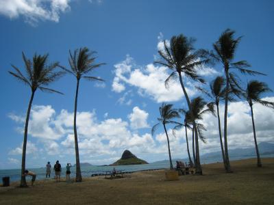 2度目の海外・初めてのハワイ☆