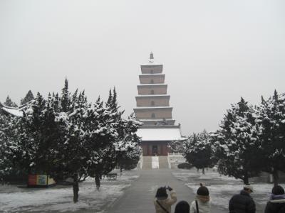 西安と上海4日間の旅