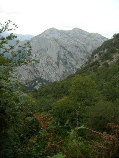 サント・トリビオへの巡礼　３ Lebenaへ（その2)