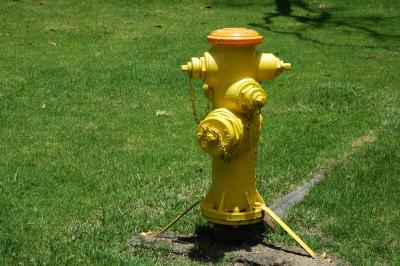 地球は生きている！