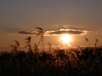 1月26日　釧路湿原夕景　お日さまがくれた贈り物