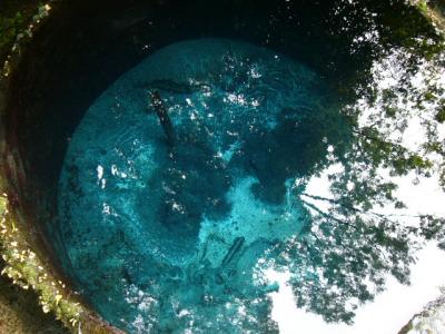 柿田川湧水−美しい湧き水をめぐる旅