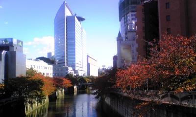紅葉&劇団四季ツアー