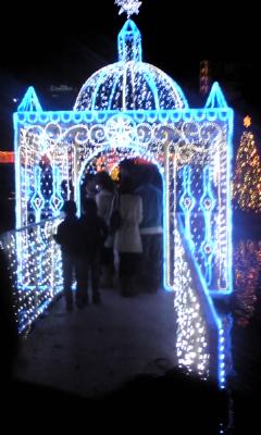 天神とイルミネーションはよか!