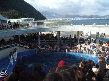 家族でうみたまごへ