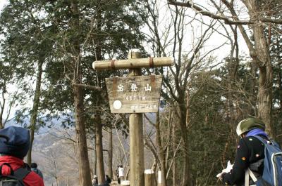 蝋梅in大滝氷柱niniイチゴ狩り