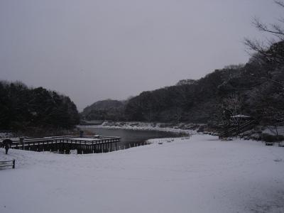 大和　泉の森　冬編（積雪)