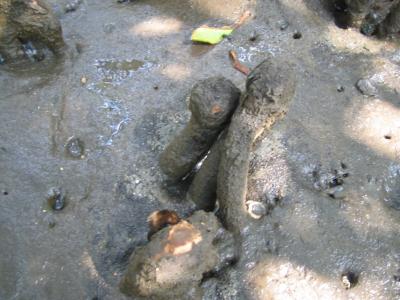 石垣ー竹富　３