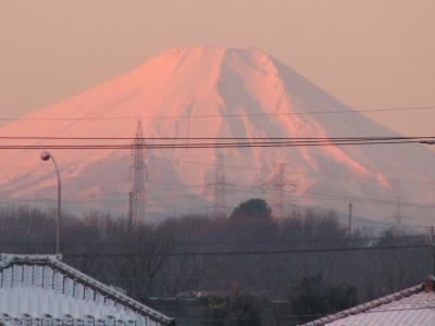 積雪後の富士山の素晴らしいモルゲンロート〔ふじみ野市〕