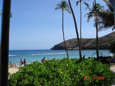 親友のハワイ挙式に参加ハワイ４泊６日シェラトンワイキキ泊チャイナエアラインCクラス利用