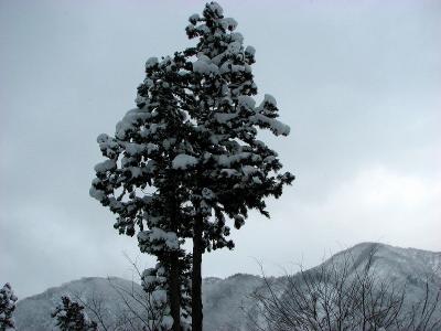 雪の塩沢町　牧之通りー?