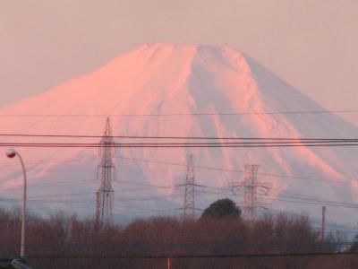 ２月８日ふじみ野市からの富士山のモルゲンロート