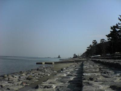 ●富山市内・氷見