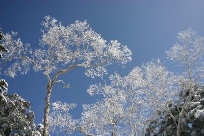 志賀高原でスノーシューを楽しむ