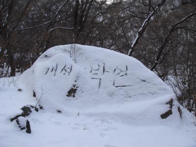 韓国及び開城観光の旅3泊4日(第３・４日目)