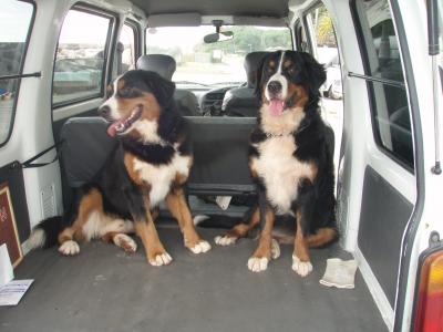 ☆父島から、さらに2時間!母島へ☆