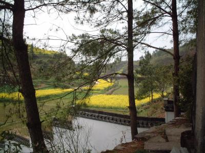 安徽省・上海・黄山旅行 3