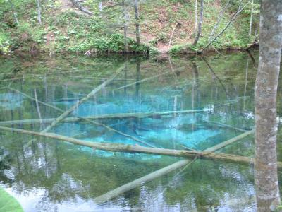 北海道 いざ知床へ