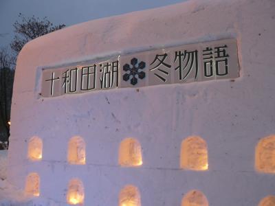 十和田湖冬物語2008