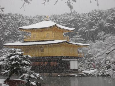 雪の京都は人がいっぱい。