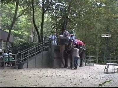 lrg_10217868.jpg?updated_at=